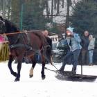 zdjęcie nr 22