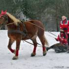 zdjęcie nr 32