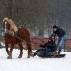 zdjęcie nr 37