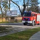 Fotka nr 2 z 17