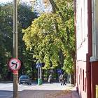 Pod drzewem pochylonym nad chodnikiem przechodzą ludzie.