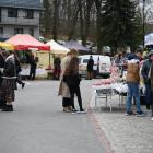 zdjęcie nr 16