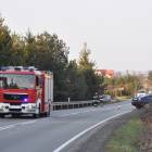 zdjęcie nr 8
