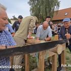 Fotka nr 4 z 16
