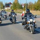zdjęcie nr 100