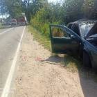 zdjęcie nr 13