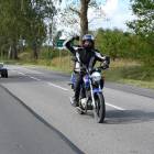 zdjęcie nr 312