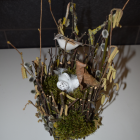 zdjęcie nr 21