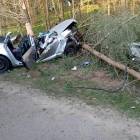 zdjęcie nr 14