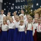 zdjęcie nr 16