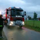 Fotka nr 5 z 39