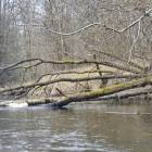 zdjęcie nr 19