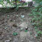 zdjęcie nr 8