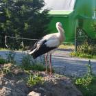 fot. nadesłane/Beata Ulkowska