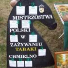 zdjęcie nr 9