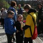 zdjęcie nr 12