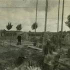 zdjęcie nr 8