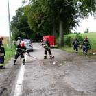 zdjęcie nr 39