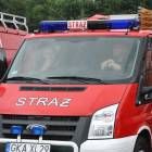 zdjęcie nr 14