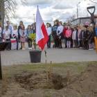 zdjęcie nr 24