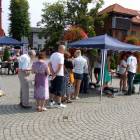 zdjęcie nr 9