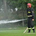 zdjęcie nr 90