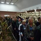 zdjęcie nr 19