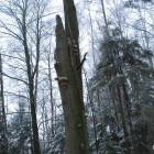 zdjęcie nr 17