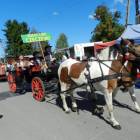 zdjęcie nr 73