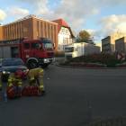 Fotka nr 2 z 11