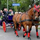 zdjęcie nr 17
