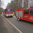 Fotka nr 5 z 7