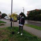 zdjęcie nr 18