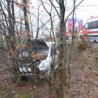 Fotka nr 2 z 16
