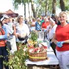 zdjęcie nr 10