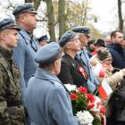 zdjęcie nr 43