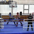 Fotka nr 5 z 78