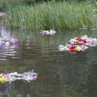 zdjęcie nr 19