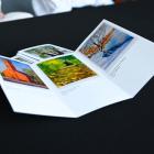 Fotka nr 0 z 39