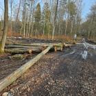 zdjęcie nr 31