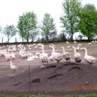 fot. Ze zbiorów grupy będącej na pieszej wycieczce