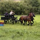 zdjęcie nr 16