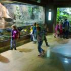 fot. nadesłane
