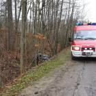zdjęcie nr 8