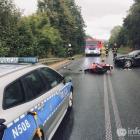 Fotka nr 1 z 2