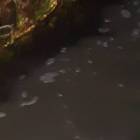 Fotka nr 0 z 4