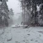 Piątek - droga dojazdowa do Kalisk /fot. BG