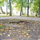Puste miejsce po pomniku na Placu Św. Brunona /fot. pio
