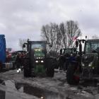 zdjęcie nr 13