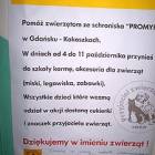 fot. nadesłane